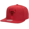 Monochromatic Snapback Hwc Chicago Bulls
