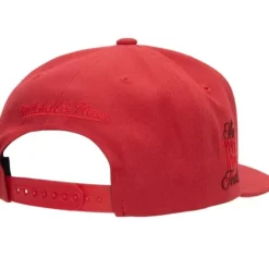 Monochromatic Snapback Hwc Chicago Bulls