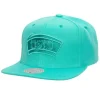 Monochromatic Snapback Hwc San Antonio Spurs