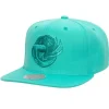 Monochromatic Snapback Hwc Vancouver Grizzlies