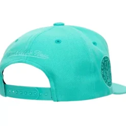 Monochromatic Snapback Hwc Vancouver Grizzlies