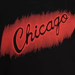Monochrome Ss Tee Chicago Bulls