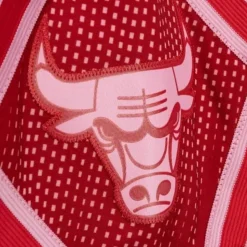 Monochrome Swingman Chicago Bulls 2008-09 Shorts