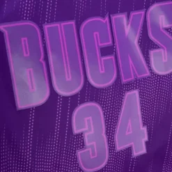 Monochrome Swingman Ray Allen Milwaukee Bucks 2000-01 Jersey