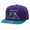 Monument Snapback Hwc Charlotte Hornets