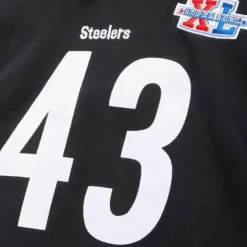 Name And Number Fleece Hoodie Pittsburgh Steelers 2006 Troy Polamalu