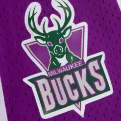 Neon Swingman Milwaukee Bucks 2000-01 Shorts