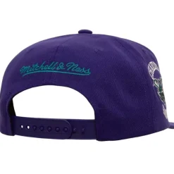 Now You See Me Snapback Hwc Charlotte Hornets