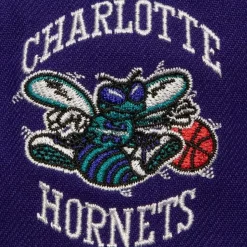 Now You See Me Snapback Hwc Charlotte Hornets
