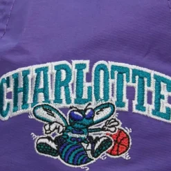 Nylon Szn Deadstock Snapback Hwc Charlotte Hornets