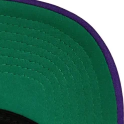 Off The Backboard Trucker Snapback Hwc Charlotte Hornets