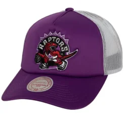 Off The Backboard Trucker Snapback Hwc Toronto Raptors