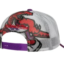 Off The Backboard Trucker Snapback Hwc Toronto Raptors