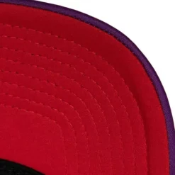 Off The Backboard Trucker Snapback Hwc Toronto Raptors