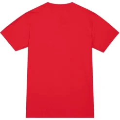 Ofrenda Tee Chicago Bulls