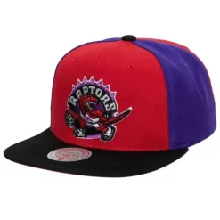 On The Block Snapback Hwc Toronto Raptors