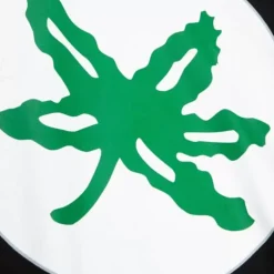 Oversize Buckeye Sticker Tee Ohio State