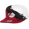 Paintbrush Snapback Arizona Cardinals
