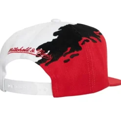 Paintbrush Snapback Atlanta Falcons