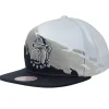 Paintbrush Snapback Georgetown University