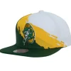 Paintbrush Snapback Green Bay Packers