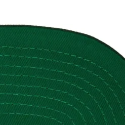 Paintbrush Snapback Green Bay Packers