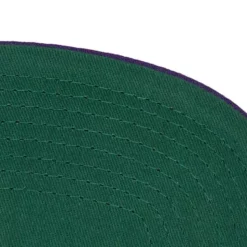 Paintbrush Snapback Hwc Los Angeles Lakers