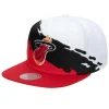 Paintbrush Snapback Hwc Miami Heat