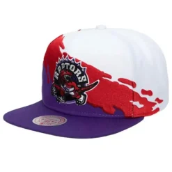 Paintbrush Snapback Hwc Toronto Raptors