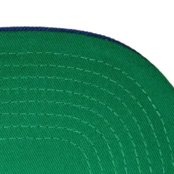 Paintbrush Snapback New York Giants