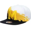 Paintbrush Snapback University Of Michigan