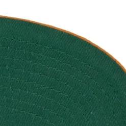 Paintbrush Snapback University Of Tennessee