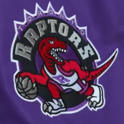 Paintbrush Warmup Pant Toronto Raptors