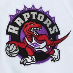 Paintbrush Windbreaker Toronto Raptors