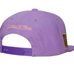 Pastel Snapback Hwc Phoenix Suns