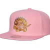 Pastel Snapback Hwc Toronto Raptors