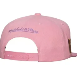 Pastel Snapback Hwc Toronto Raptors
