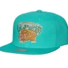 Pastel Snapback Hwc Vancouver Grizzlies