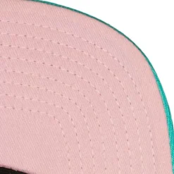 Pastel Snapback Hwc Vancouver Grizzlies