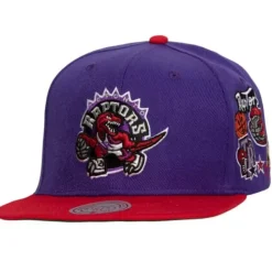 Patch Overload Snapback Hwc Toronto Raptors