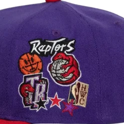 Patch Overload Snapback Hwc Toronto Raptors