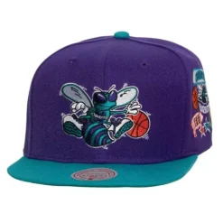 Patch Overload Snapback Hwc Charlotte Hornets