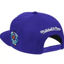 Patches 2 Tone Hwc Snapback Charlotte Hornets