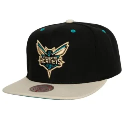 Pin Drop Snapback Charlotte Hornets
