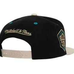 Pin Drop Snapback Charlotte Hornets