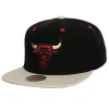 Pin Drop Snapback Chicago Bulls