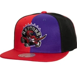 Pinwheel Snapback Hwc Toronto Raptors