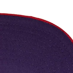 Pinwheel Snapback Hwc Toronto Raptors