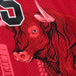 Polo G X Br Remix Swingman Chicago Bulls Jersey