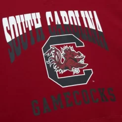 Pre-Game Ss Fleece Hoodie University Of South Carolina